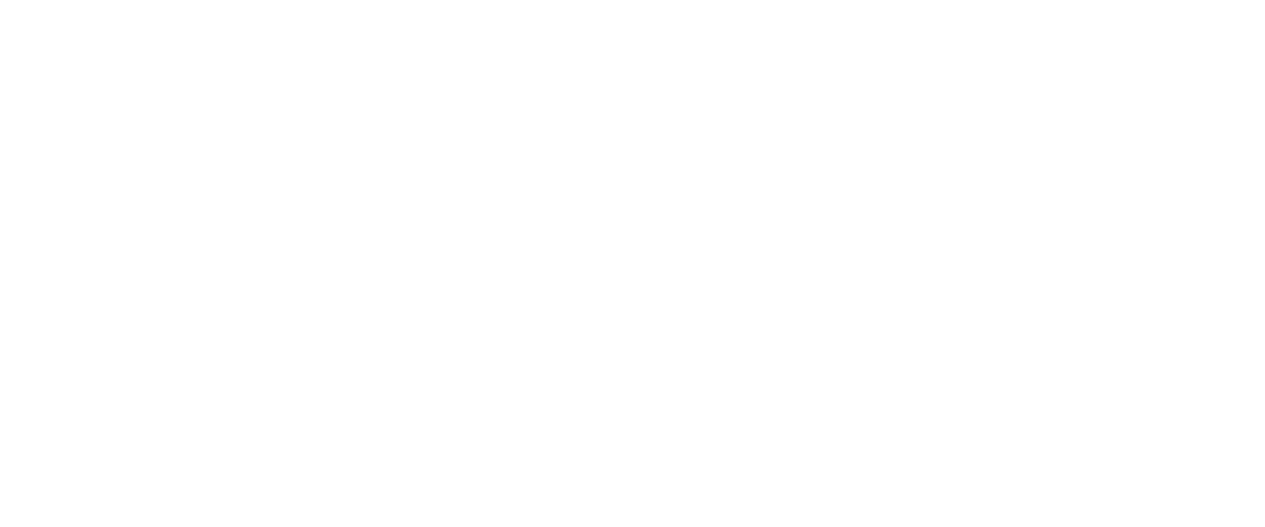 A New Policy logo